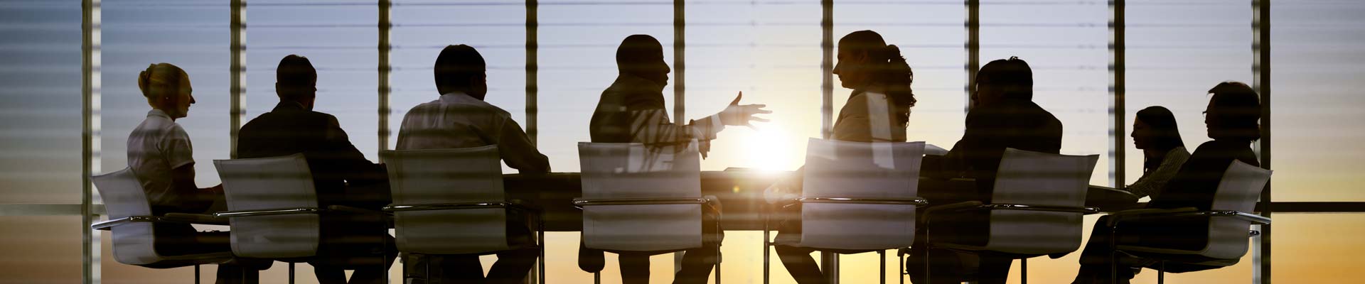 Business Consulting in a Conference Room